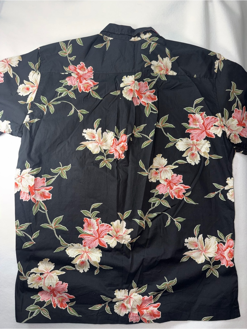 Cooke Street Black Floral Short-Sleeve Button-Down Shirt - Red & Cream Blooms - Picture 5 of 5